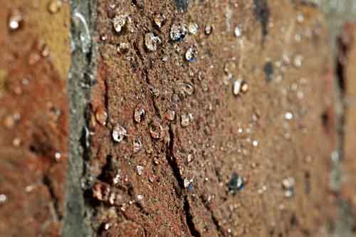 The masonry will be resistant to light rain after two hours